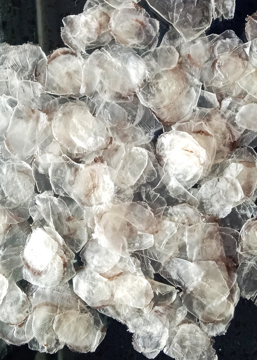 Deminaralised Fish Scales