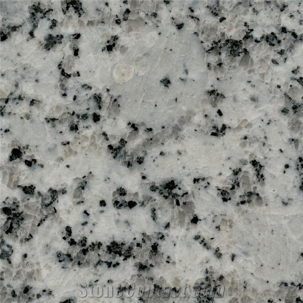 Platinum White Granite Slabs and Tiles