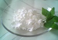 Silk Fibroin Powder