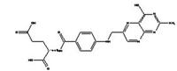  Folic Acid