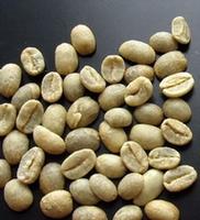 green coffee extract（Chlorogenic Acid）
