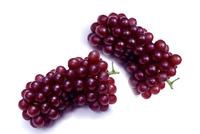 Grape Seed Extract