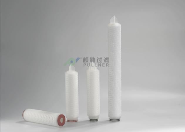 PES Sterilization High Flow Filter Cartridge