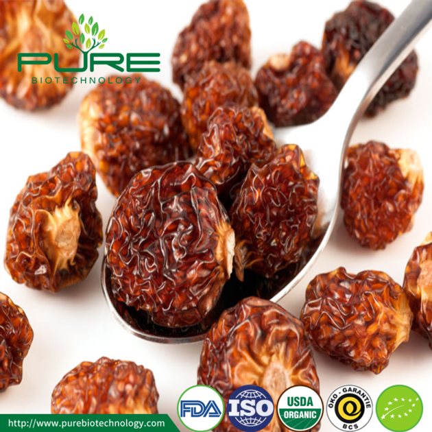 Organic Dried Sea Buckthorn Berry