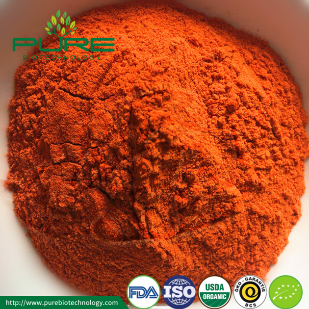 Organic Goji Berry Powder Extract