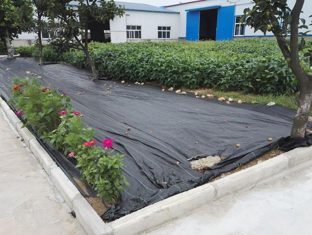 Weed Control Fabric Hot Sale For