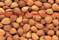 Apricot kernel bitter 
