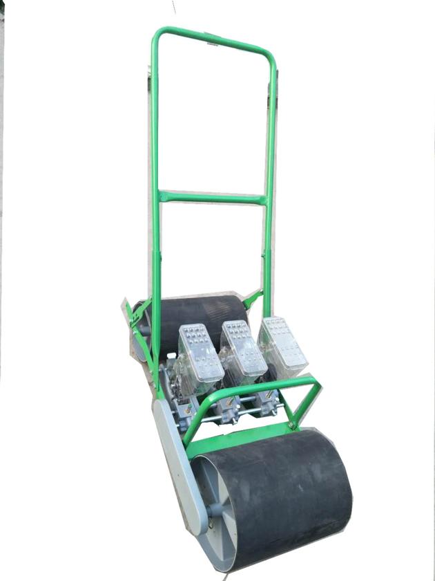 Small Portable 4 Rows Vegetable Carrots