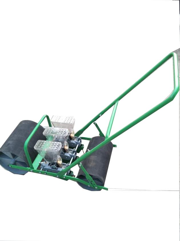 Small Portable 4 Rows Vegetable Carrots