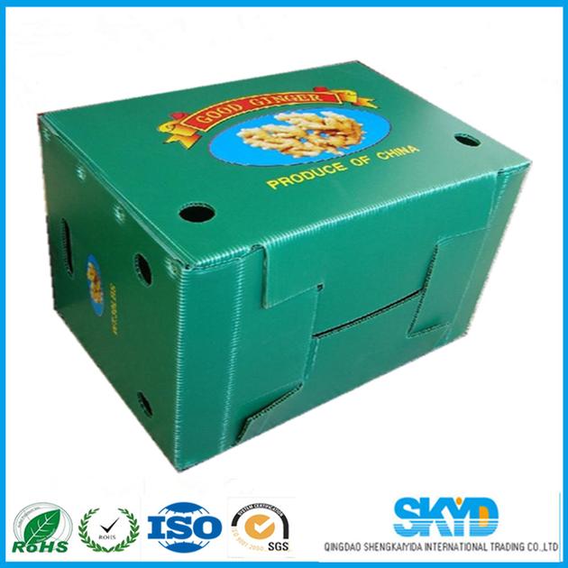 PP corrugated sheet for plastic box 