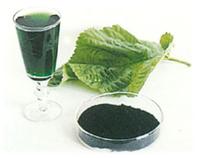 Sodium Copper Chlorophyll 