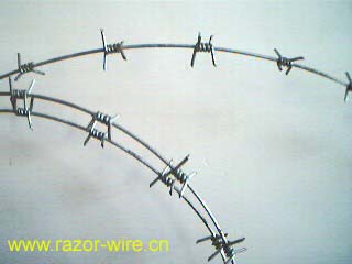 Metal Wire Mesh