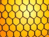 Chicken Wire/Hexagonal Wire Mesh