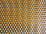 Perforated Metal Mesh