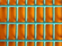Welded Wire Mesh