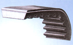 ribbed belt