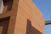 wood plastic composite wall panel