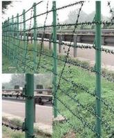 Barbed wire fence