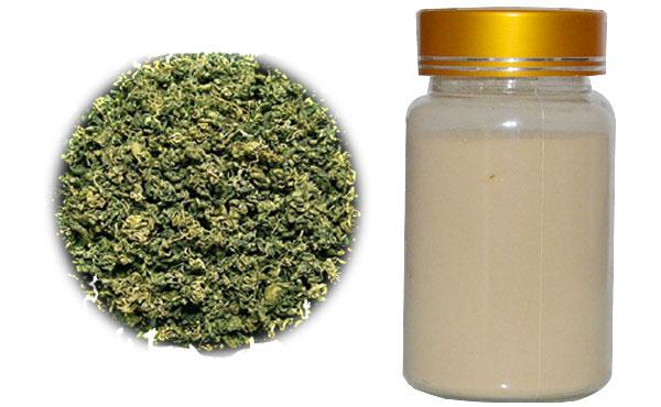 Pure Gypenosides 98% Gynostemma Pentaphylla Extract Powder