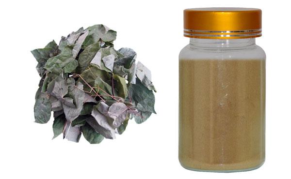 Horny goat weed/ Icariin/ Epimedium extract 5% -98%