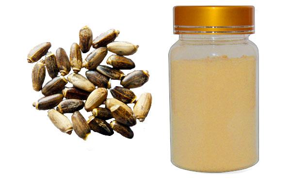 Milk Thistle, Silybum marianum extract, Silymarin 80% Silybin 50% 55%