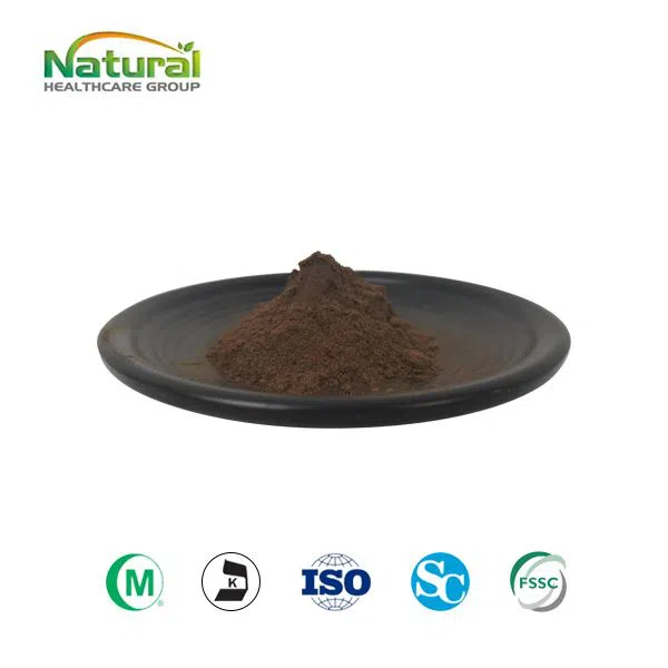 Reishi Mushroom Extract Powder