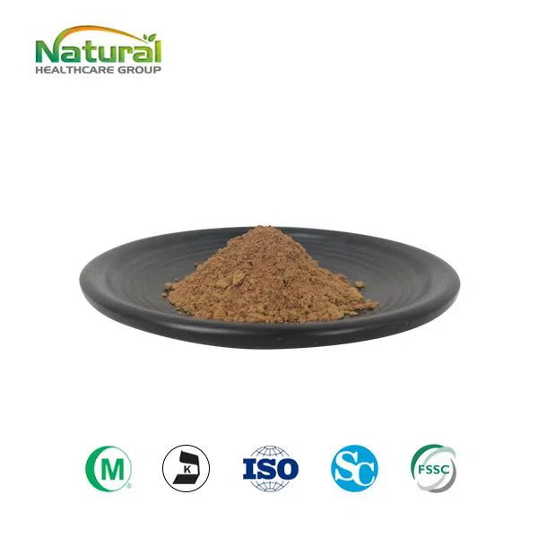 Cordyceps Mushroom Extract Powder