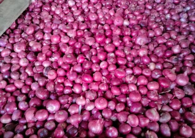 Red Fresh Onoin