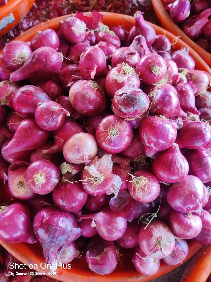 Red Fresh Onoin