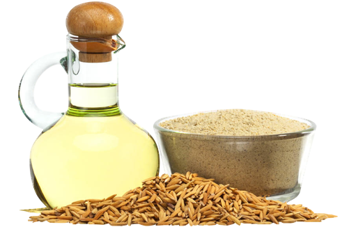 RICE BRAN OIL