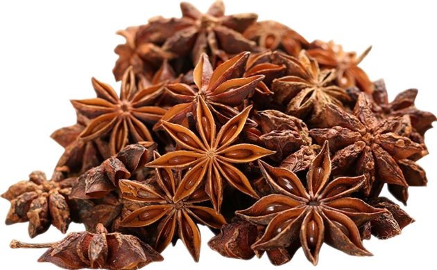 STAR ANISEED