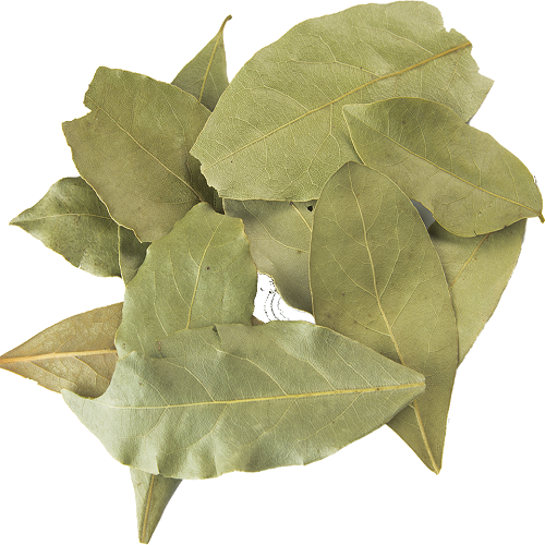 BAY LEAF