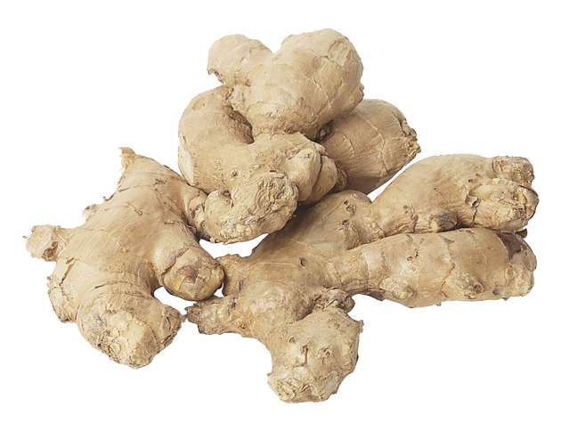 DRY GINGER