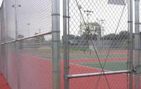 Galvanized Chain Link Fence
