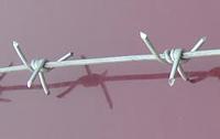 Single Twist Barbed Wire