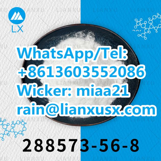 Manufacturer Supply Powder High Quality Fast Shipping CAS 288573-56-8 1-Boc-4- (4-FLUORO-PHENYLAMINO