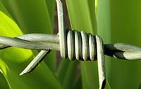 Double Twist Barbed Wire