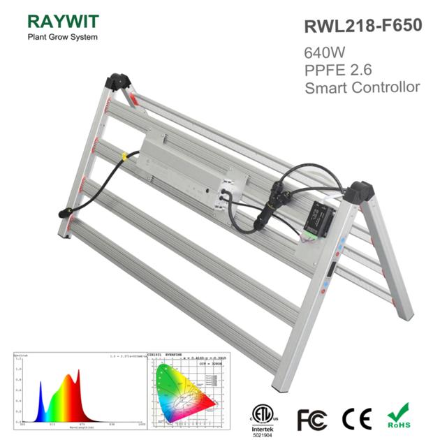 RWL218 F650P