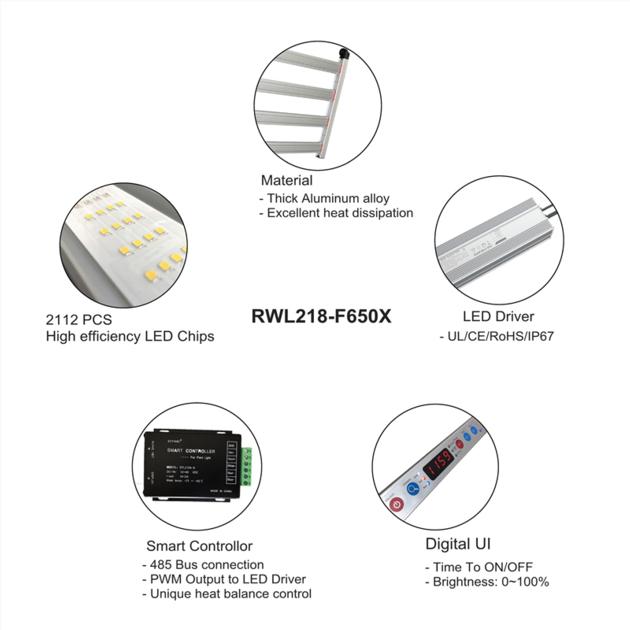 RWL218 F650P