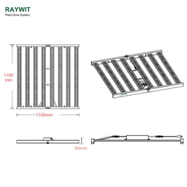 RWL218 F650P