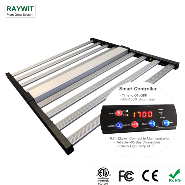 RWL218 F800L