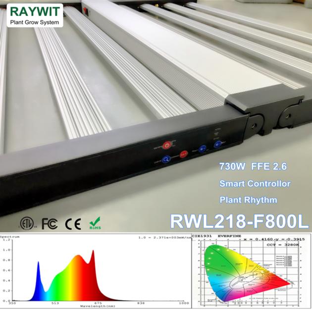 RWL218 F800L