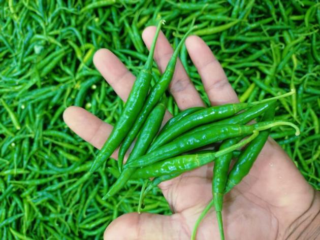 Fresh Green Chili