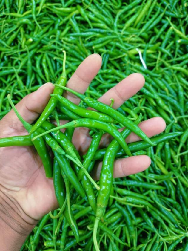 Fresh Green Chili