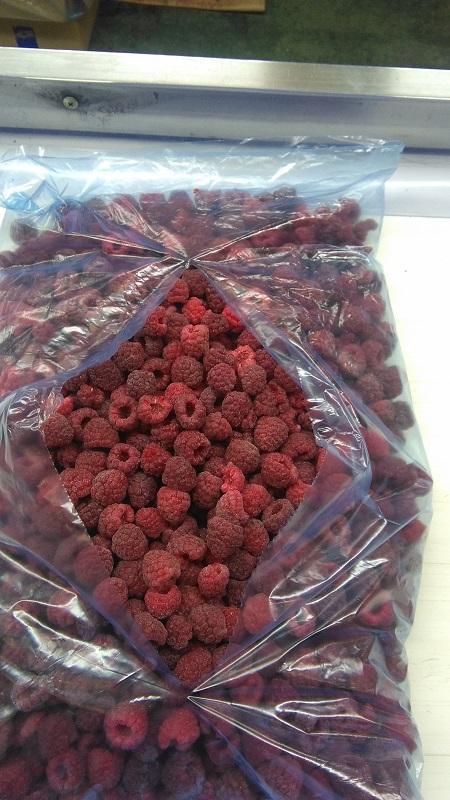 Frozen Raspberries IQF
