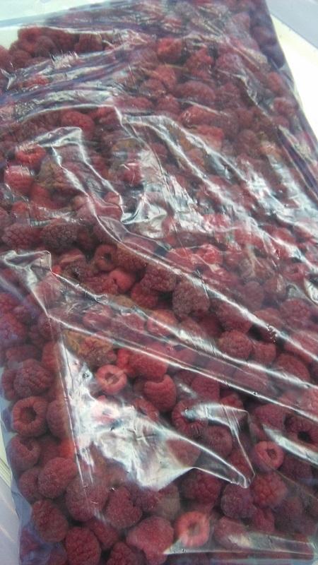Frozen Raspberries IQF