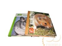 2012 photo album