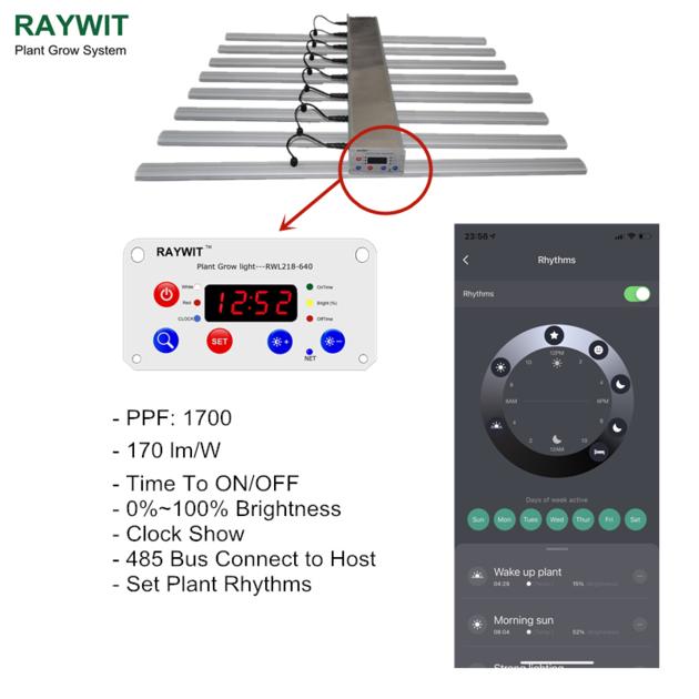 RWL218 S640P