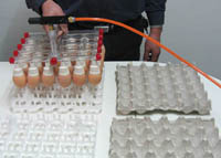 egg lifter
