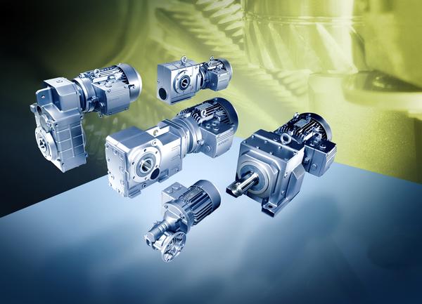 High Voltage Induction Motor